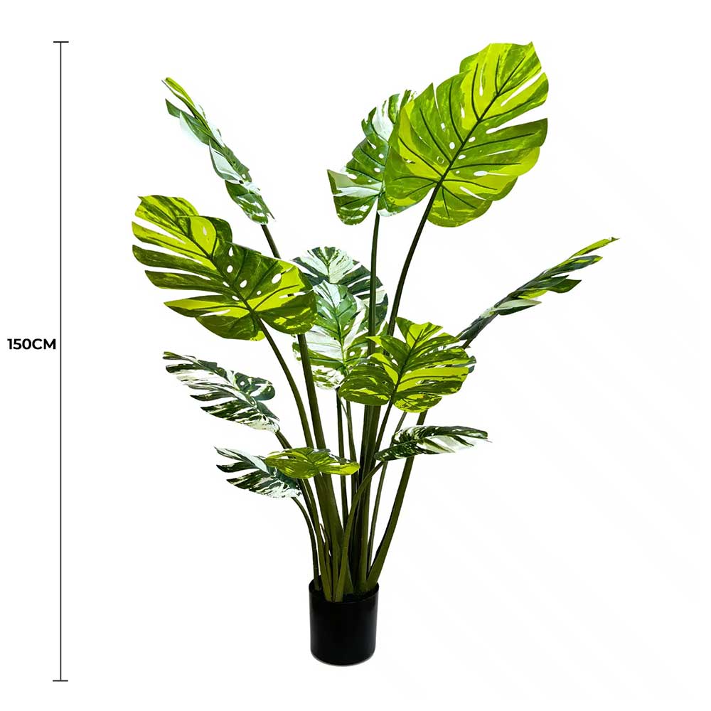 Premium Artificial Potted Monstera Albo 150cm - Designer Plants
